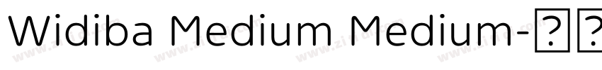 Widiba Medium Medium字体转换 Widiba Medium Medium字体转换